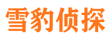 元坝寻人公司